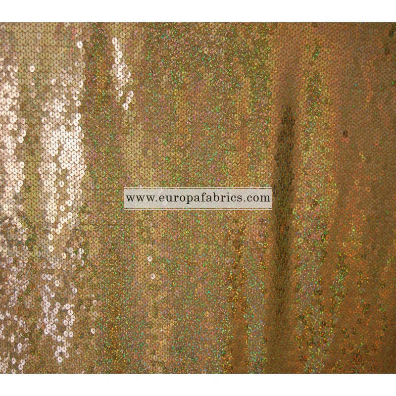 Sequins Stretch SKU 4904