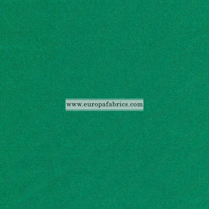 Solid Color Shiny SKU5510 Kelly